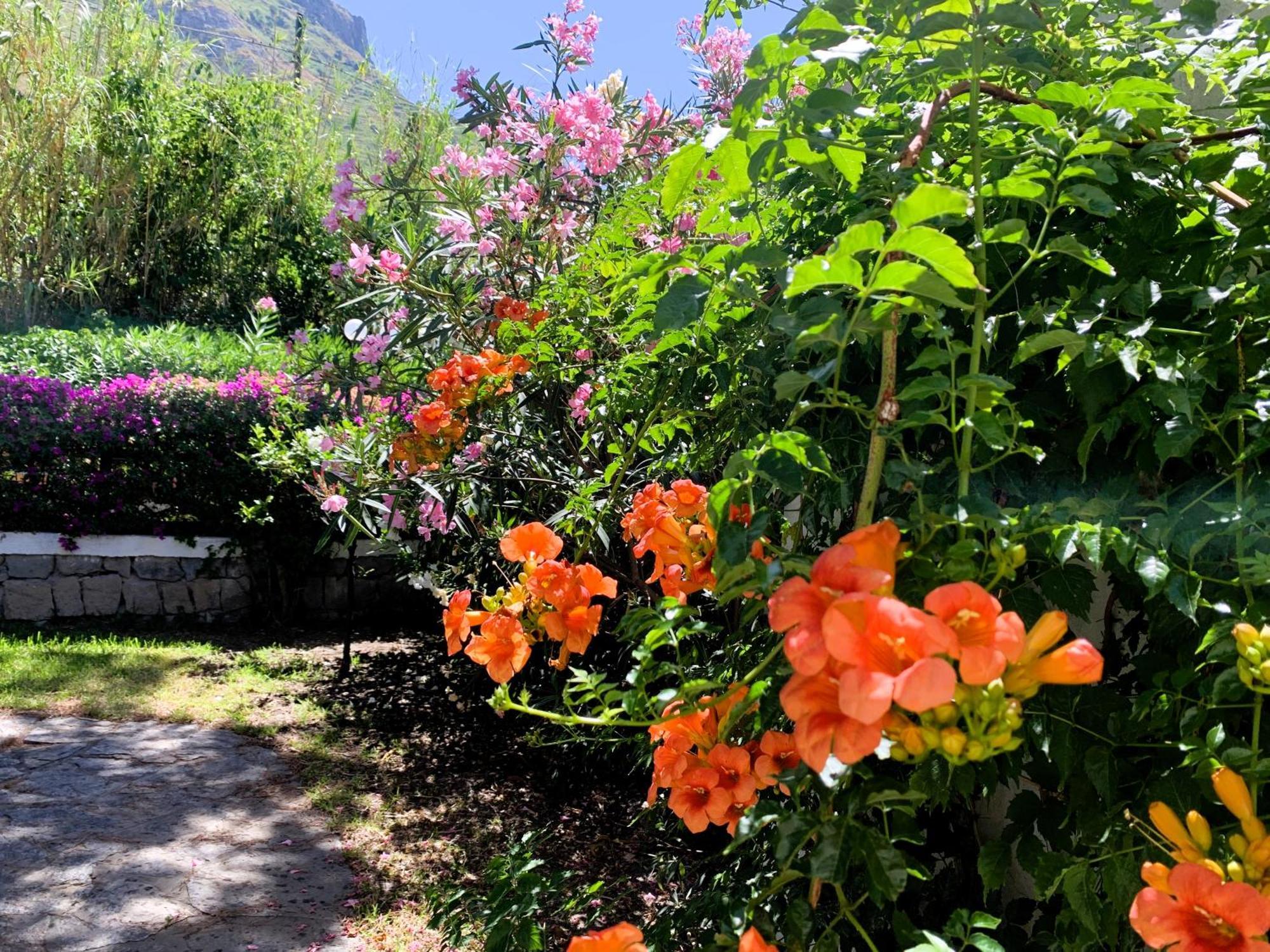 Villetta Con Giardino Esclusivo Di 1000 Mq, Piscina, Tennis, Calcio, Bocce Forio  Bagian luar foto
